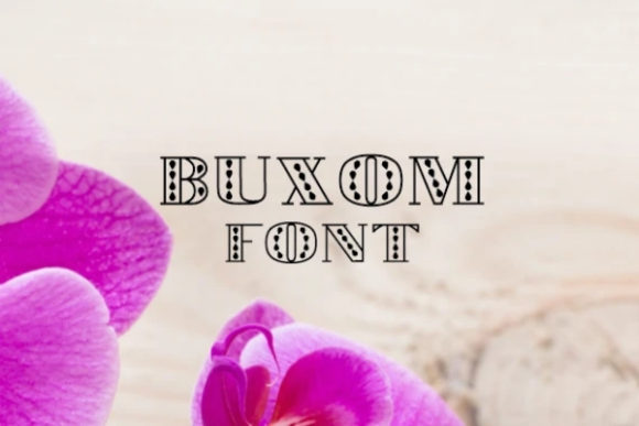 Buxom: A Bold Display Font
