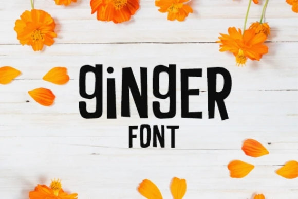 Ginger: A Bold Display Font