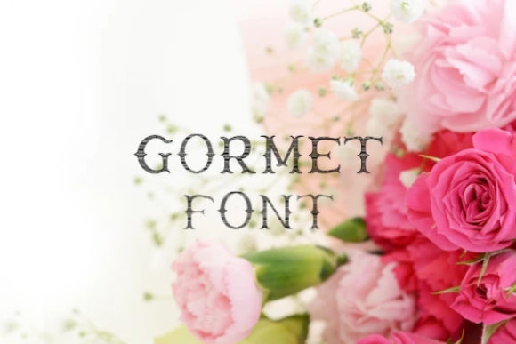 Gormet: A Playful Font for Business