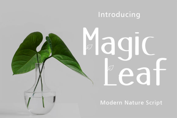 Magic Leaf Font for Editorial Design
